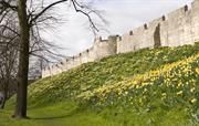 York city walls