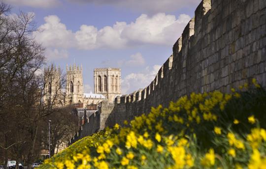 York walls