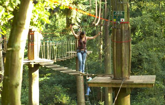 Dalby Forest, 'Go Ape'