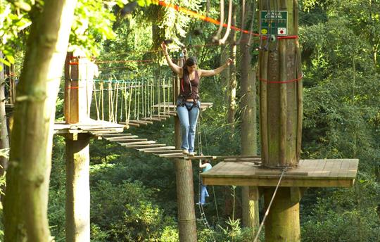 Dalby Forest, 'Go Ape'