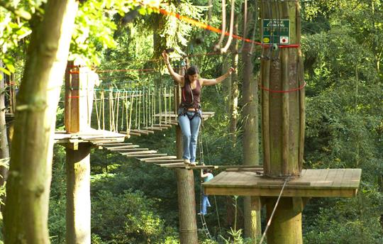 Dalby Forest, 'Go Ape'