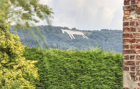 View of the  White Horse from cottage garden