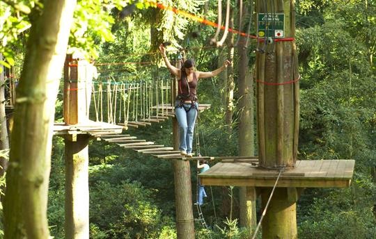 Dalby Forest, 'Go Ape'