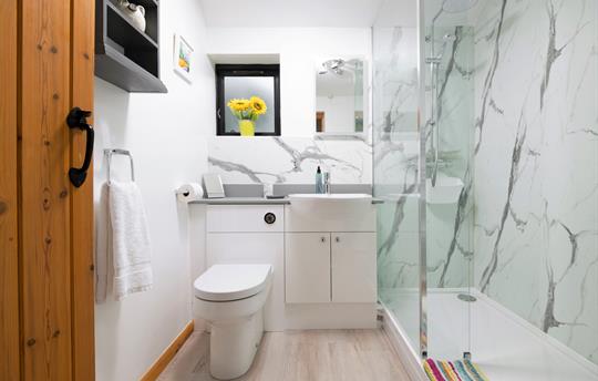 Large walk-in shower with small step up