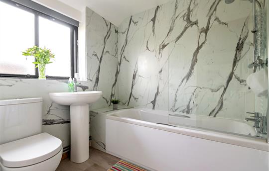 Downstairs family bathroom