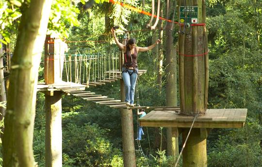 Dalby Forest, 'Go Ape'