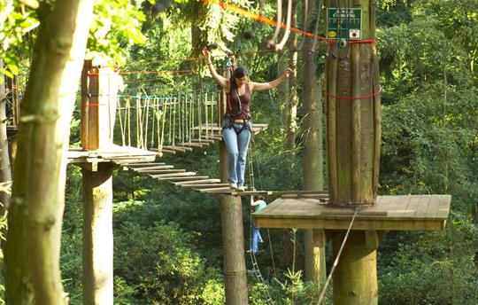 Dalby Forest, 'Go Ape'