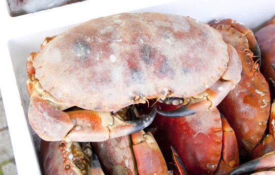 Fresh fresh, arrives at the cottage every Monday 