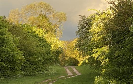 Laneway by Kings Cliffe