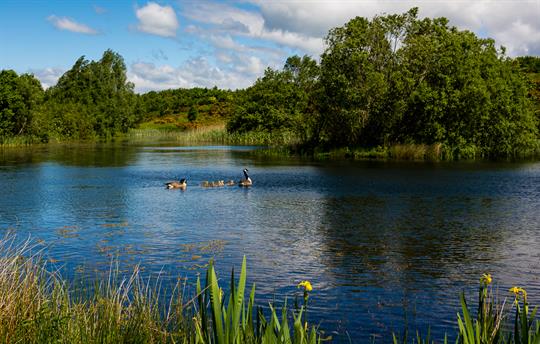 Megs Lake set in a 20 acre reserve