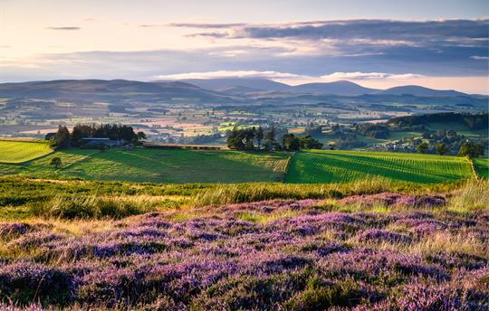 View from Beacon Hill