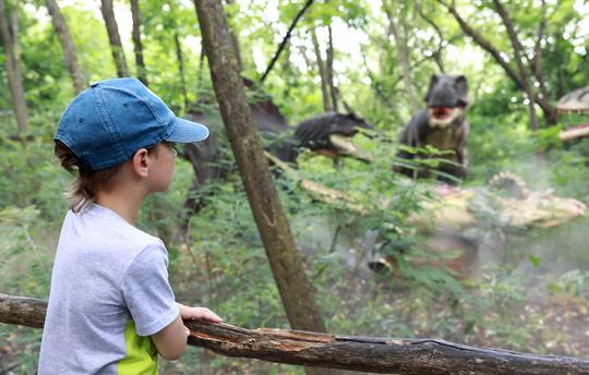 Roarr! Dinosaur Adventure 