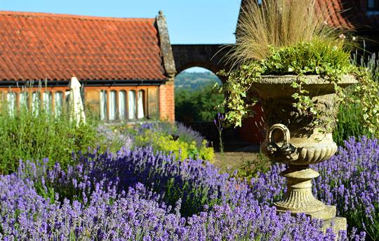 Hazelnut and Archway 