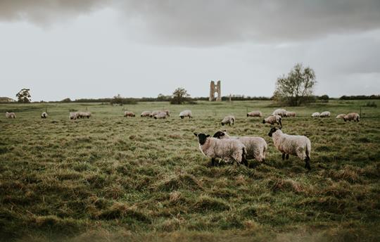 The Godwick Medieval Ruins