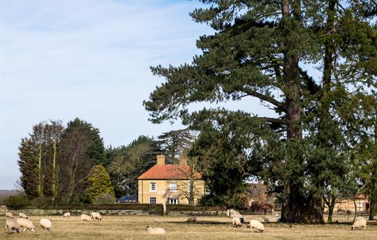 View of the Hall across the farm fields
