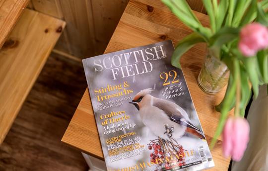 Fresh flowers and magazines