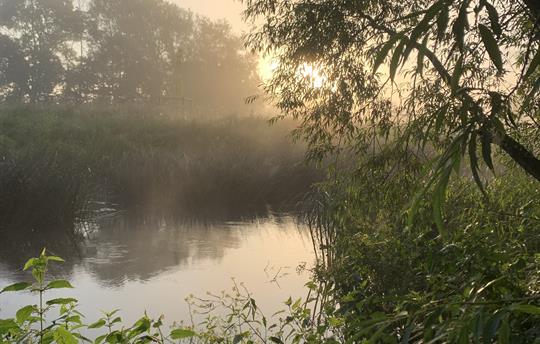 Stroll along our river