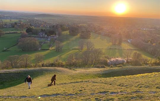 Walk In The Footsteps Of Thomas Hardy!