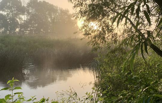 Stroll Along Our River
