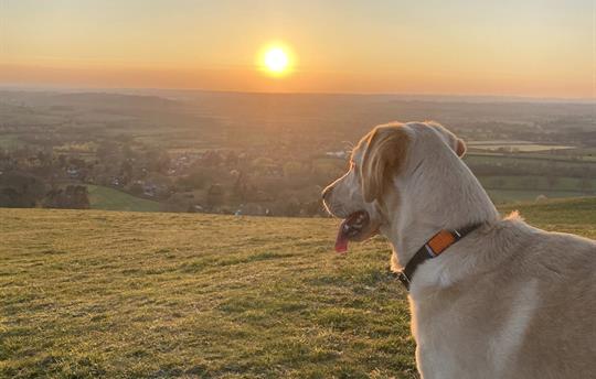 Walk & Take In The Views 