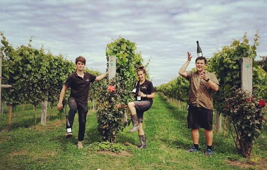 Have A GLass Of Wine! Tour Dorset's Vineyard's