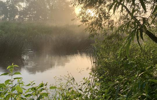 Stroll Along Our River