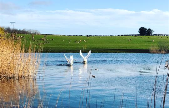 Spring at Trevase Fishing Lake