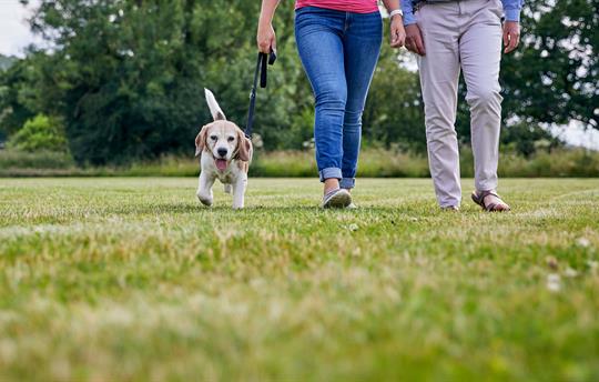 Dogs welcome – amazing walks start at the doorstep