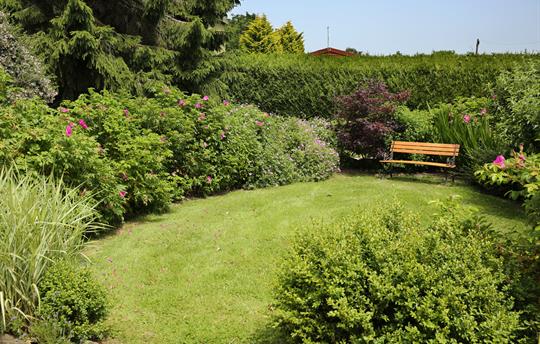 Front garden shared with Woodpecker Way