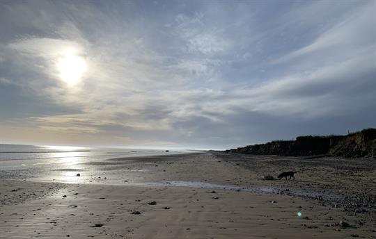 Fraisthorpe Beach - 10 mins away