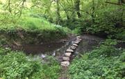 Stone path crossing over the stream