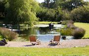 Deck chairs by the pond