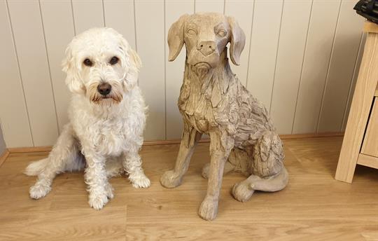 High Oaks Grange is Dog Friendly