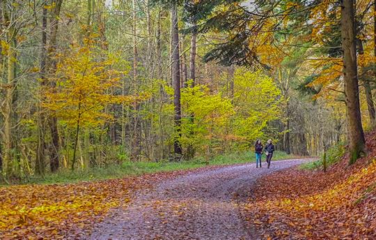 Only 10 mins from Dalby Forest