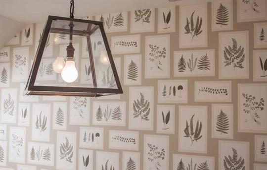 Feature wall in Keldy Cottage