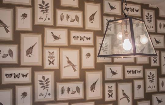 Feature wall in Rosedale Cottage