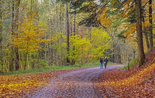 Only 10 mins from Dalby Forest