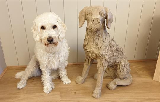 High Oaks Grange is Dog Friendly