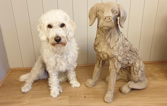 High Oaks Grange is Dog Friendly