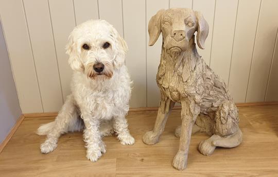 High Oaks Grange is Dog Friendly