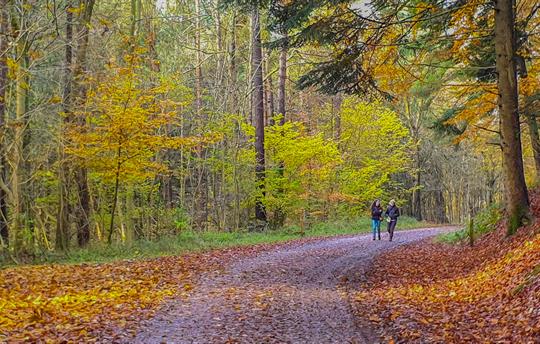 Only 10 mins from Dalby Forest