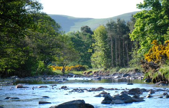 Beautiful river valley next to our cottages