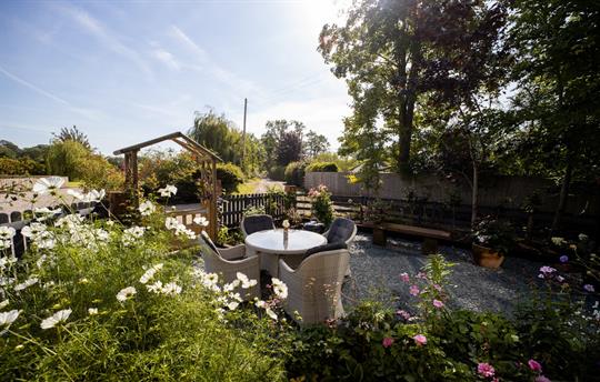 Dandelion Cottage Garden