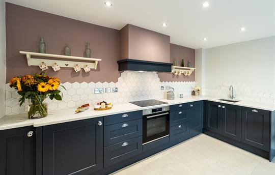 Kitchen units with integrated dishwasher & fridge