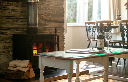 Cosy log burning stove