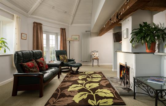 Living area with pitched ceiling, open fire