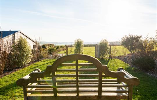 Silver Birch garden and view