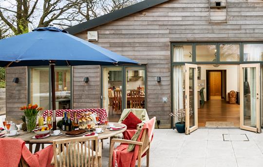 Silver Birch patio area