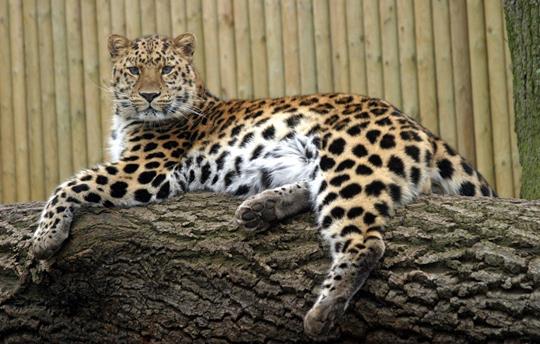 Marwell Zoo is a great day out for all the family