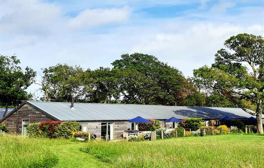 Mown path leading to the cottages